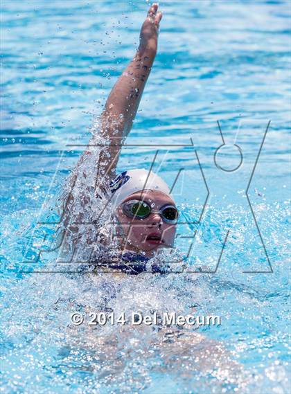 Thumbnail 1 in Hillsborough Western Conference Meet photogallery.