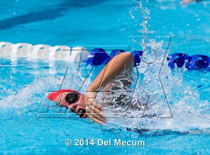 Thumbnail 3 in Hillsborough Western Conference Meet photogallery.