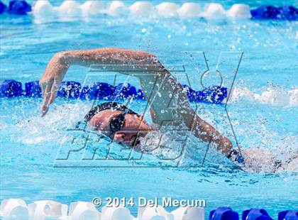 Thumbnail 1 in Hillsborough Western Conference Meet photogallery.
