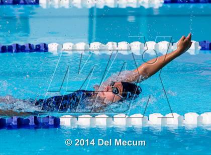 Thumbnail 1 in Hillsborough Western Conference Meet photogallery.