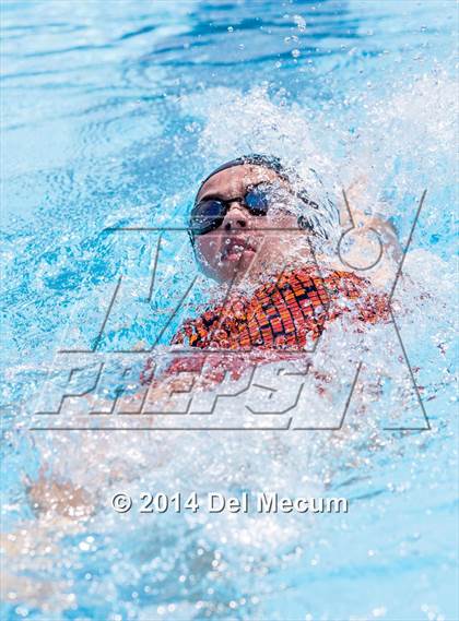 Thumbnail 1 in Hillsborough Western Conference Meet photogallery.