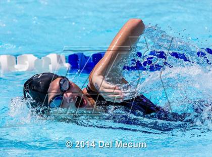 Thumbnail 3 in Hillsborough Western Conference Meet photogallery.