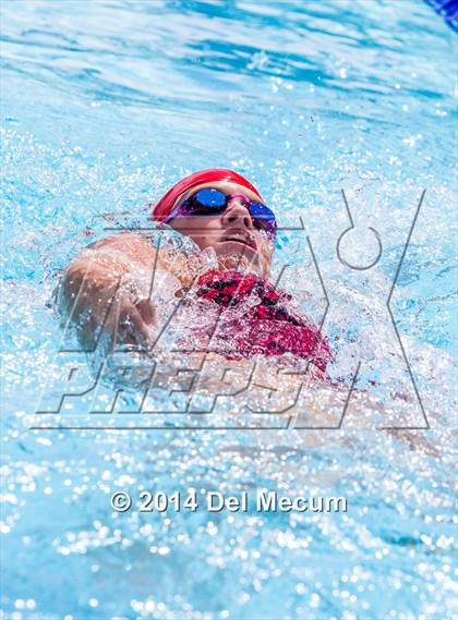 Thumbnail 3 in Hillsborough Western Conference Meet photogallery.