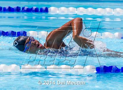 Thumbnail 3 in Hillsborough Western Conference Meet photogallery.