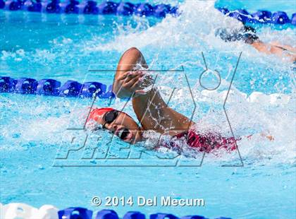 Thumbnail 3 in Hillsborough Western Conference Meet photogallery.