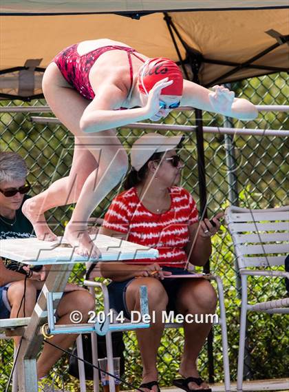 Thumbnail 3 in Hillsborough Western Conference Meet photogallery.