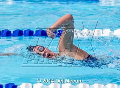 Thumbnail 2 in Hillsborough Western Conference Meet photogallery.