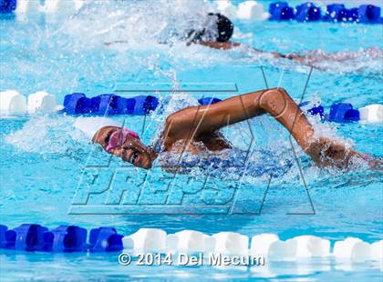 Thumbnail 3 in Hillsborough Western Conference Meet photogallery.