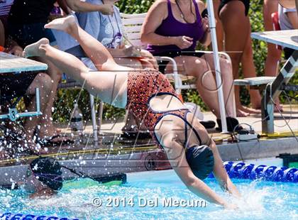 Thumbnail 2 in Hillsborough Western Conference Meet photogallery.