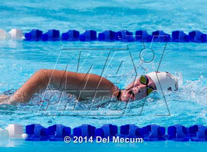 Thumbnail 2 in Hillsborough Western Conference Meet photogallery.
