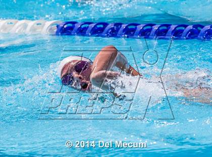 Thumbnail 2 in Hillsborough Western Conference Meet photogallery.