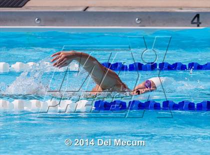 Thumbnail 1 in Hillsborough Western Conference Meet photogallery.