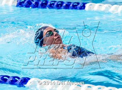 Thumbnail 1 in Hillsborough Western Conference Meet photogallery.
