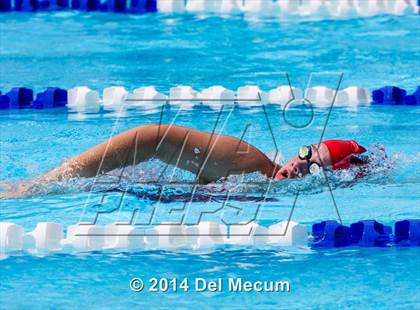 Thumbnail 1 in Hillsborough Western Conference Meet photogallery.