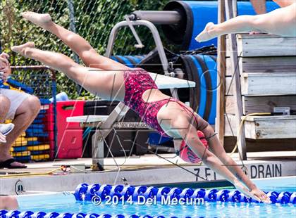 Thumbnail 3 in Hillsborough Western Conference Meet photogallery.