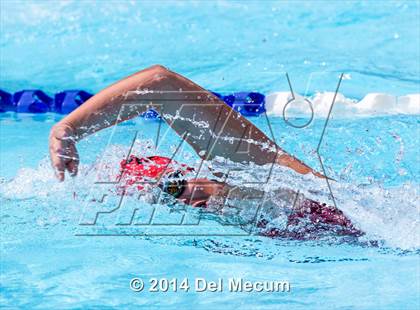 Thumbnail 1 in Hillsborough Western Conference Meet photogallery.