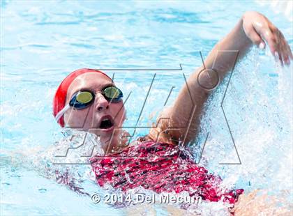 Thumbnail 1 in Hillsborough Western Conference Meet photogallery.