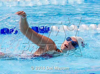 Thumbnail 1 in Hillsborough Western Conference Meet photogallery.