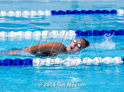 Thumbnail 1 in Hillsborough Western Conference Meet photogallery.