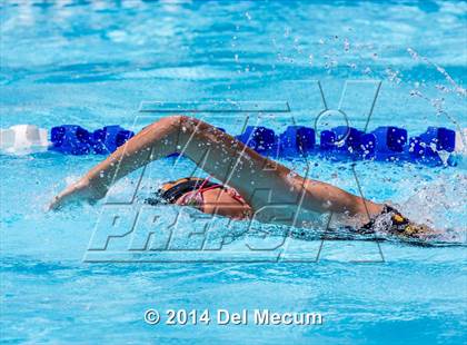 Thumbnail 2 in Hillsborough Western Conference Meet photogallery.