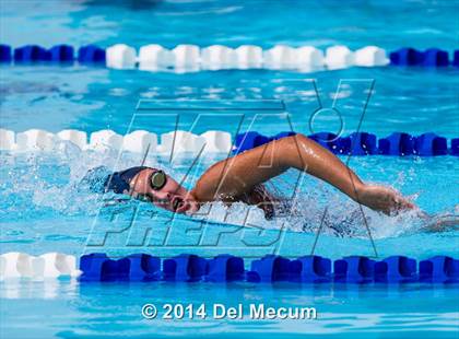 Thumbnail 1 in Hillsborough Western Conference Meet photogallery.