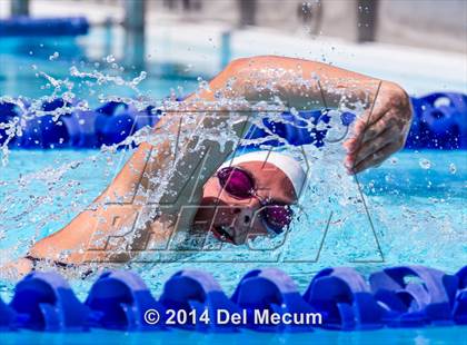 Thumbnail 1 in Hillsborough Western Conference Meet photogallery.