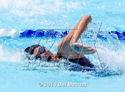 Thumbnail 2 in Hillsborough Western Conference Meet photogallery.