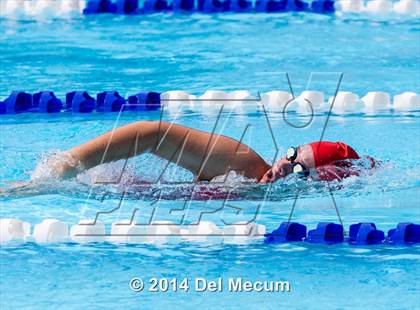 Thumbnail 3 in Hillsborough Western Conference Meet photogallery.
