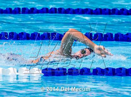 Thumbnail 3 in Hillsborough Western Conference Meet photogallery.