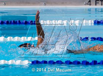 Thumbnail 1 in Hillsborough Western Conference Meet photogallery.