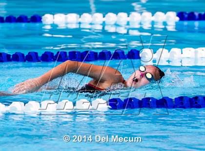 Thumbnail 3 in Hillsborough Western Conference Meet photogallery.