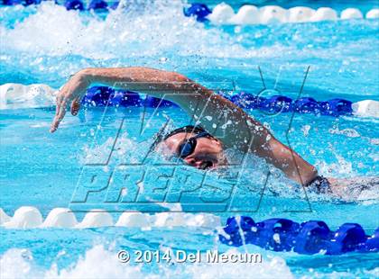 Thumbnail 3 in Hillsborough Western Conference Meet photogallery.