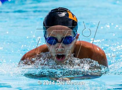 Thumbnail 2 in Hillsborough Western Conference Meet photogallery.