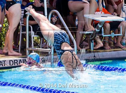 Thumbnail 2 in Hillsborough Western Conference Meet photogallery.