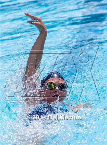 Thumbnail 2 in Hillsborough Western Conference Meet photogallery.