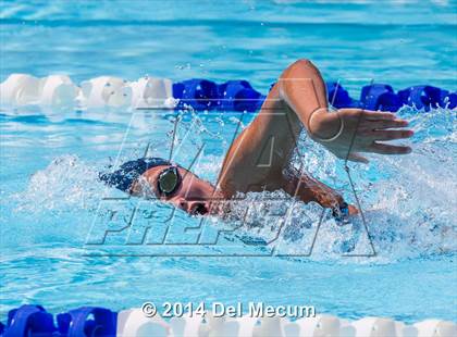 Thumbnail 1 in Hillsborough Western Conference Meet photogallery.