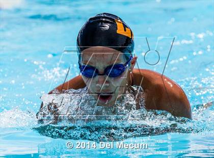 Thumbnail 1 in Hillsborough Western Conference Meet photogallery.