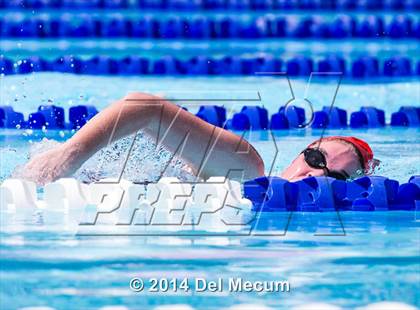 Thumbnail 2 in Hillsborough Western Conference Meet photogallery.