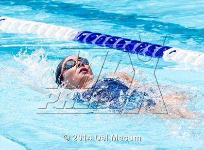 Thumbnail 1 in Hillsborough Western Conference Meet photogallery.