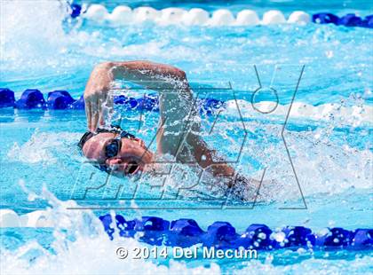Thumbnail 2 in Hillsborough Western Conference Meet photogallery.