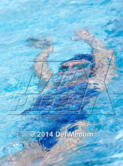 Thumbnail 1 in Hillsborough Western Conference Meet photogallery.