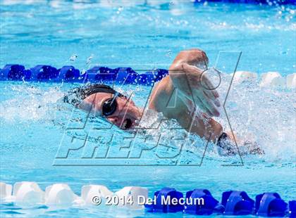 Thumbnail 3 in Hillsborough Western Conference Meet photogallery.