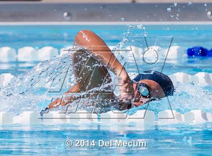 Thumbnail 1 in Hillsborough Western Conference Meet photogallery.