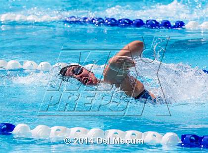 Thumbnail 1 in Hillsborough Western Conference Meet photogallery.