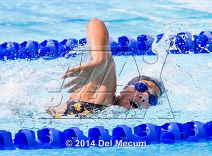 Thumbnail 3 in Hillsborough Western Conference Meet photogallery.