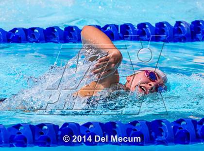 Thumbnail 1 in Hillsborough Western Conference Meet photogallery.