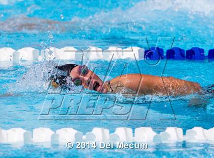 Thumbnail 2 in Hillsborough Western Conference Meet photogallery.