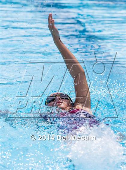Thumbnail 1 in Hillsborough Western Conference Meet photogallery.