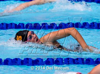 Thumbnail 1 in Hillsborough Western Conference Meet photogallery.
