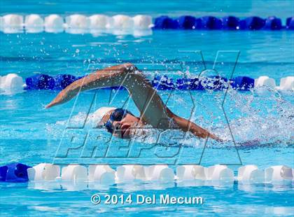 Thumbnail 2 in Hillsborough Western Conference Meet photogallery.